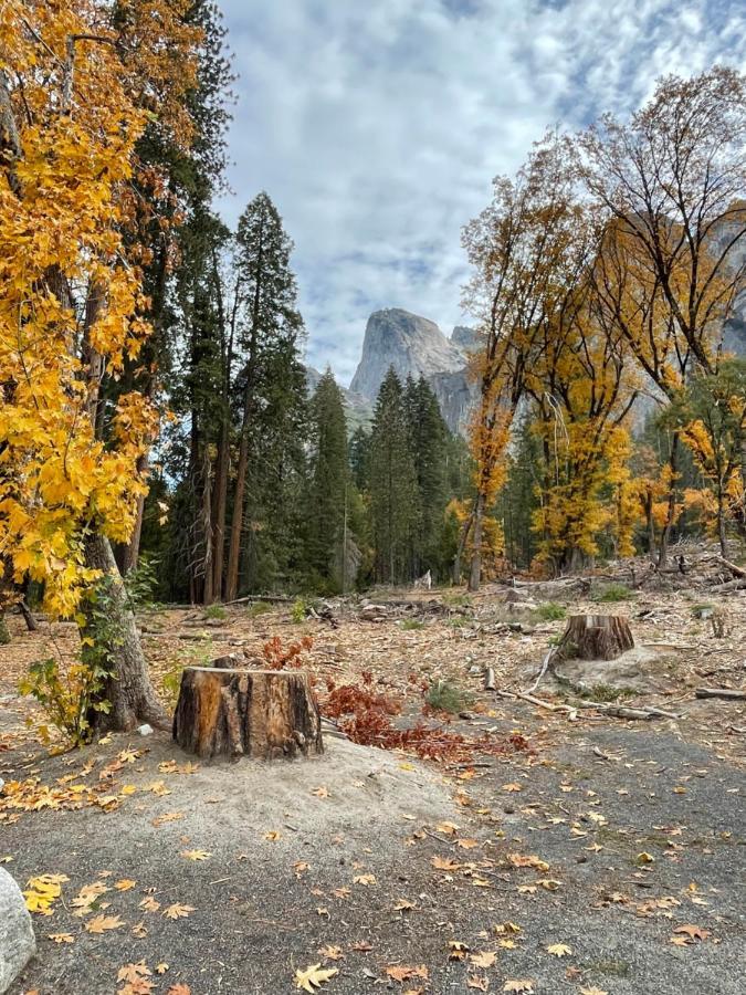 Yosemite Escapes - Pine Mountain Lake Groveland Eksteriør bilde